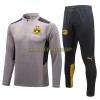 BVB Borussia Dortmund Sweatshirts Anzüge Suit Quarter-zip 2022-23 Hellgraue Für Herren